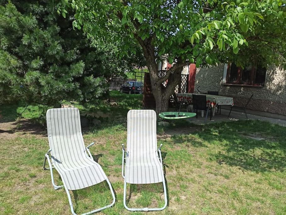 אוגוסטוב Apartament Pod Orzechem מראה חיצוני תמונה